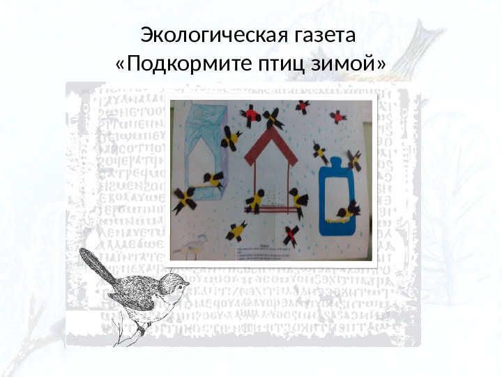 Опыт работы. Организация экологического проекта "Кормушка для пичужки".