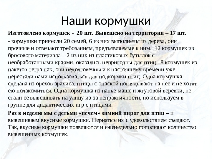 Опыт работы. Организация экологического проекта "Кормушка для пичужки".