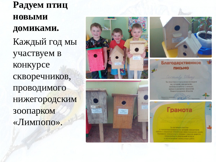 Опыт работы. Организация экологического проекта "Кормушка для пичужки".
