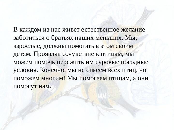 Опыт работы. Организация экологического проекта "Кормушка для пичужки".