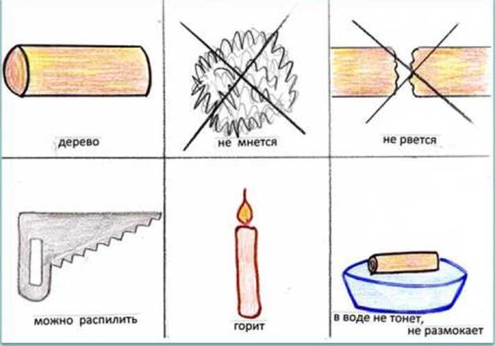 Дерево опыта. Свойства дерева для дошкольников. Свойства древесины для дошкольников. Схематическое изображение древесины. Свойства предметов из дерева для дошкольников.