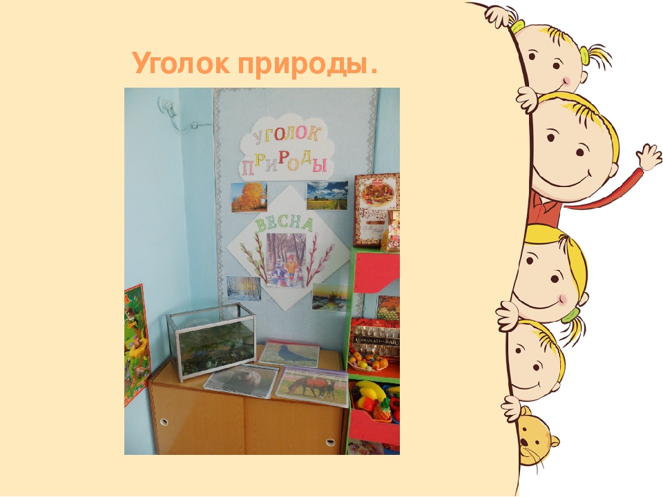 Презентация " Предметно-пространственная среда"