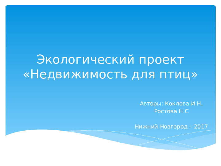 Опыт работы. Проект "Кормушка для пичужки".