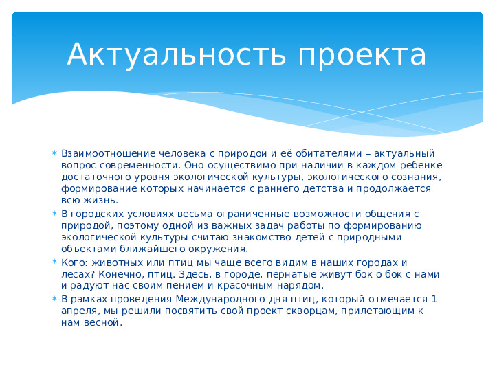 Опыт работы. Проект "Кормушка для пичужки".