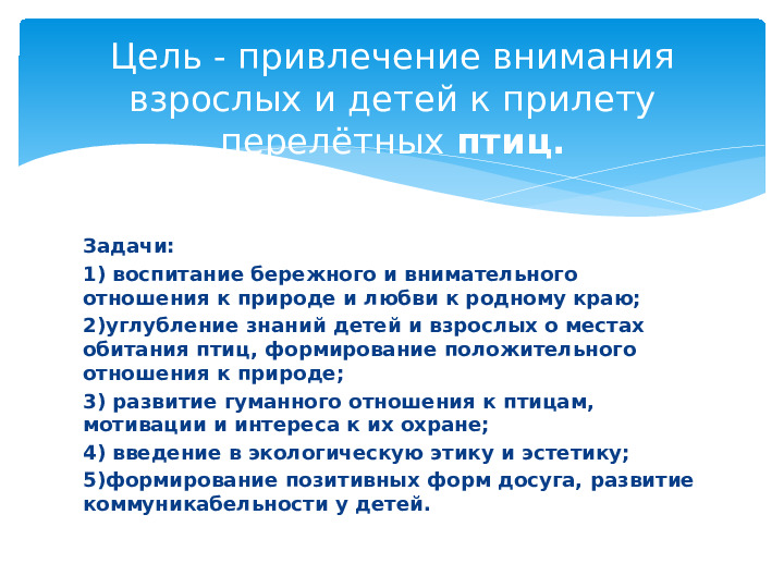 Опыт работы. Проект "Кормушка для пичужки".