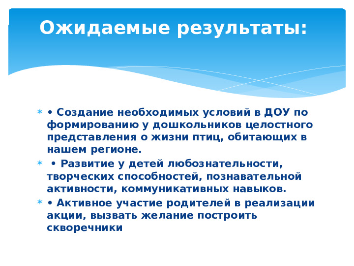 Опыт работы. Проект "Кормушка для пичужки".