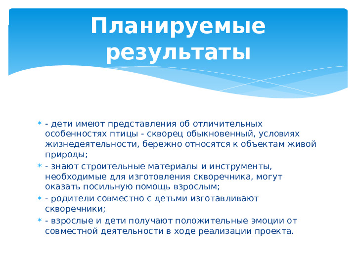 Опыт работы. Проект "Кормушка для пичужки".