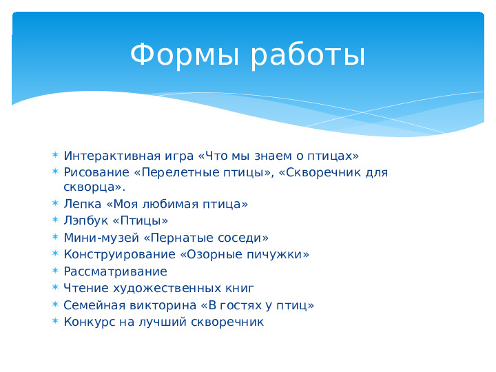 Опыт работы. Проект "Кормушка для пичужки".