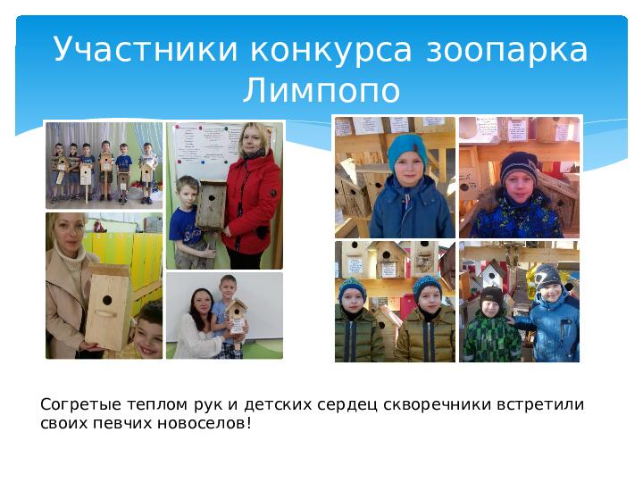 Опыт работы. Проект "Кормушка для пичужки".