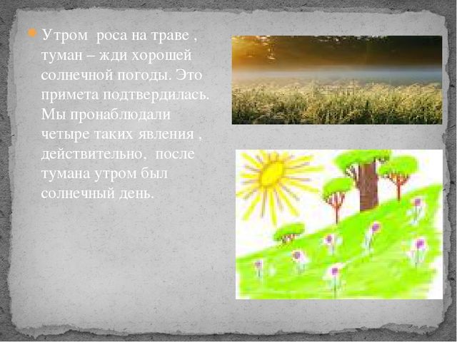 Выпала роса. Примета роса на траве. Приметы роса утром. Примета роса утром на траве. Утром на траве нет росы.