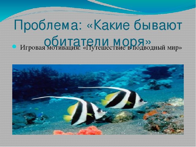 Проект - презентация "Морские обитатели"