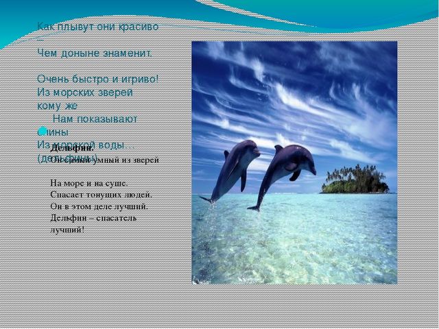 Проект - презентация "Морские обитатели"