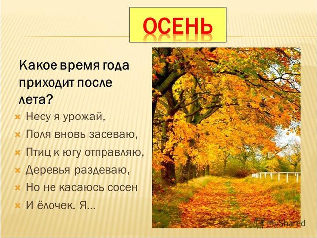 Презентация по окружающему миру "Времена года"