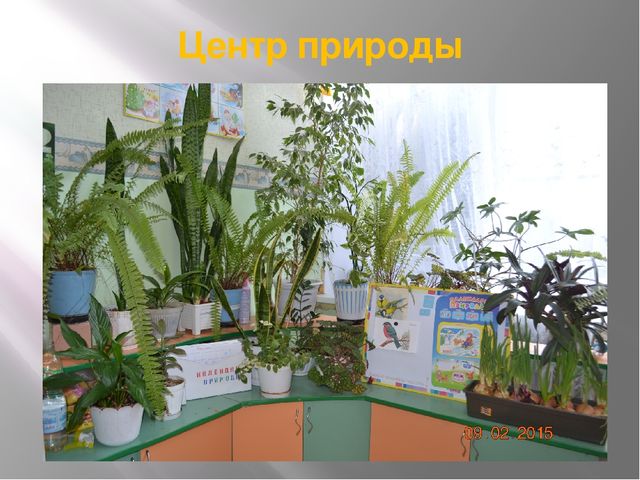 Презентация "Предметно-пространственная среда в группе