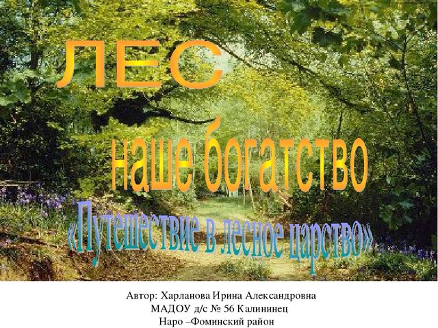 Презентация по экологии "Лес - наше богатство"