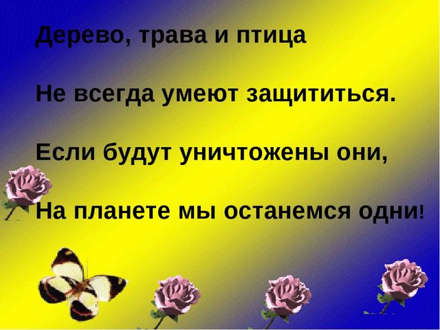 Презентация по экологии "Лес - наше богатство"