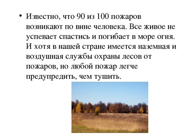 Презентация по экологии "Лес - наше богатство"
