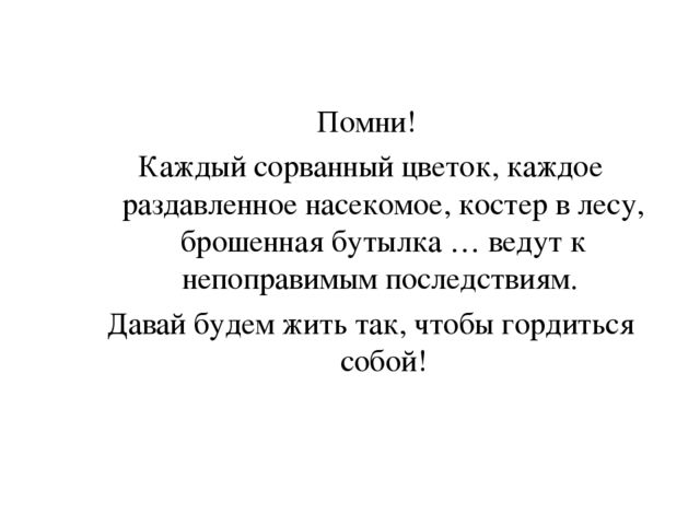 Презентация по экологии "Лес - наше богатство"