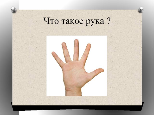 Презентация к мастер-классу "Ум на кончиках пальцев".