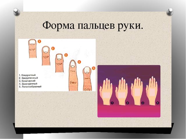 Презентация к мастер-классу "Ум на кончиках пальцев".