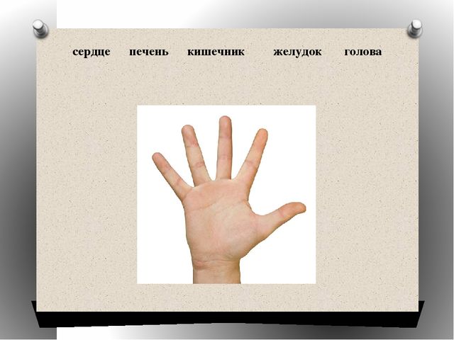 Презентация к мастер-классу "Ум на кончиках пальцев".