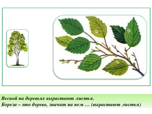 Дидактическая игра «Договори фразу» высшие психические связи