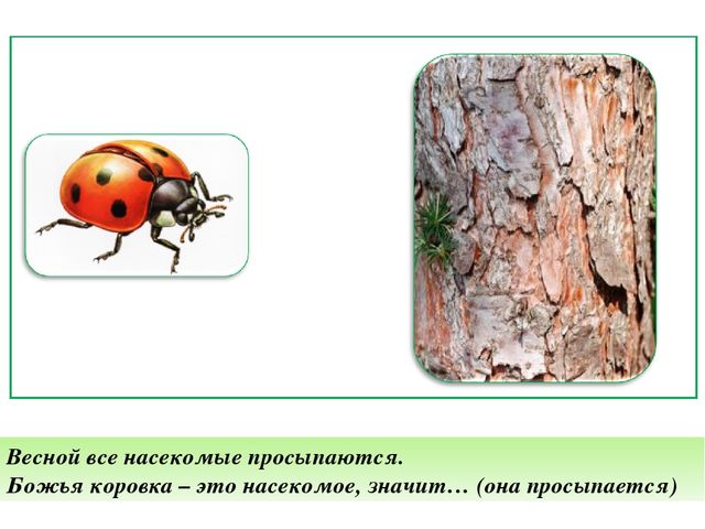 Дидактическая игра «Договори фразу» высшие психические связи