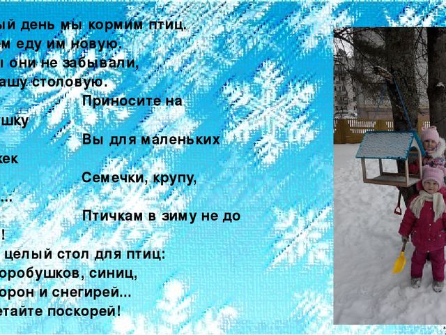 Репортаж с прогулки "Нам всего милее снежные деньки...".