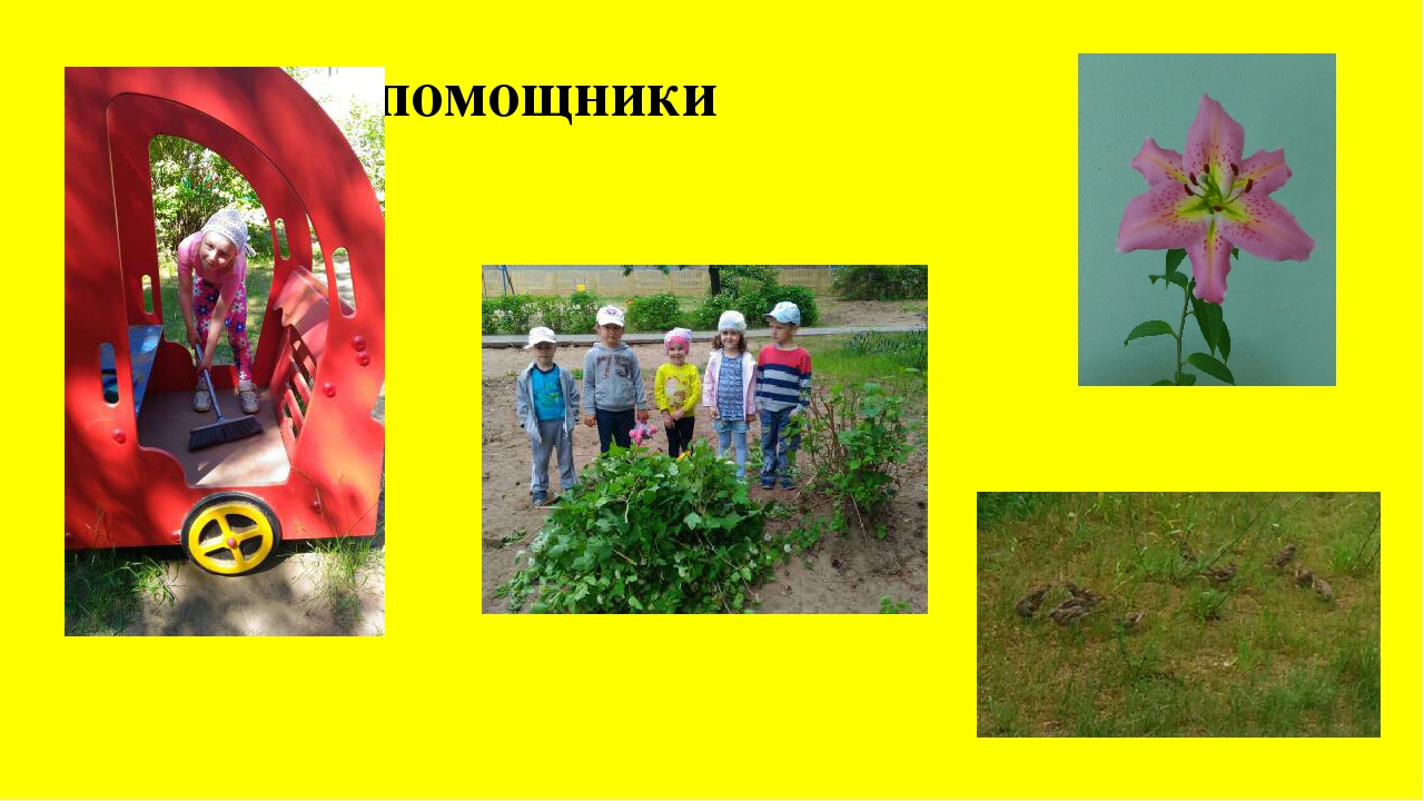 Презентация "Отчёт о летней воспитательно-образовательной работе".