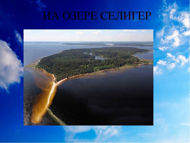 Презентация проекта " Эколята -дошколята".