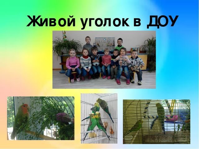 Презентация проекта " Эколята -дошколята".
