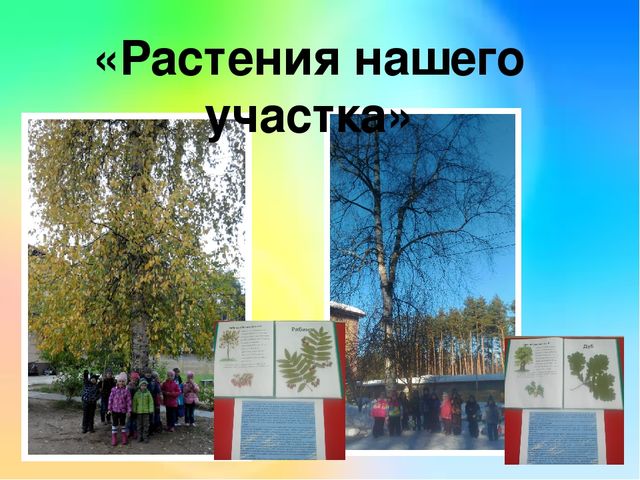 Презентация проекта " Эколята -дошколята".