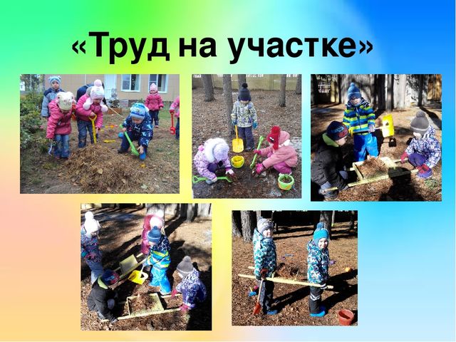 Презентация проекта " Эколята -дошколята".