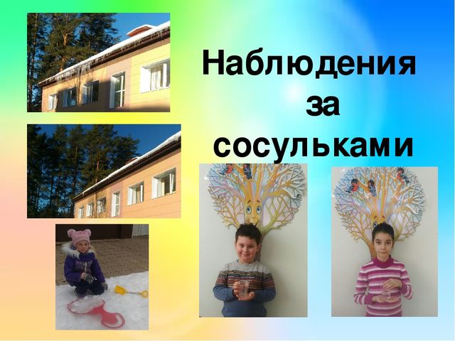 Наблюдение за сосульками. Наблюдение за сосулькой. Наблюдение за сосульками цель. Наблюдение за сосульками цель в старшей группе. Цель наблюдение детей за сосульками.