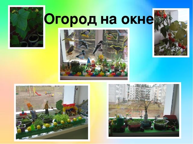 Презентация проекта " Эколята -дошколята".