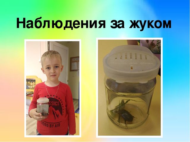 Презентация проекта " Эколята -дошколята".
