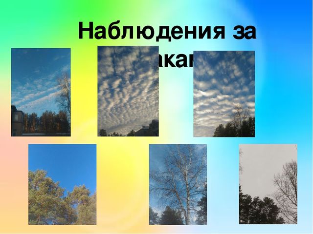 Презентация проекта " Эколята -дошколята".