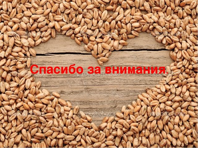 Нетрадиционный вид техники Аппликация из круп.