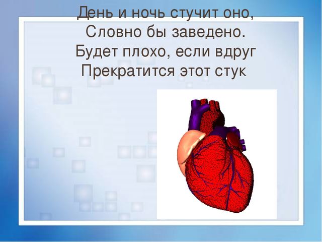 Презентация для детей 4-5 лет на тему "Моё тело"
