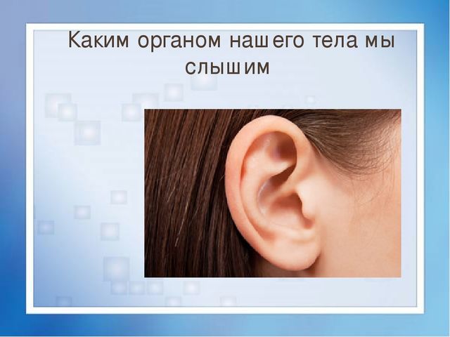 Презентация для детей 4-5 лет на тему "Моё тело"