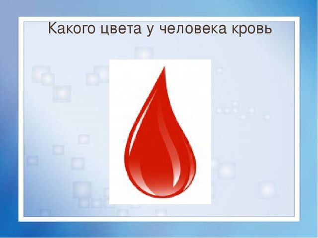 Презентация для детей 4-5 лет на тему "Моё тело"