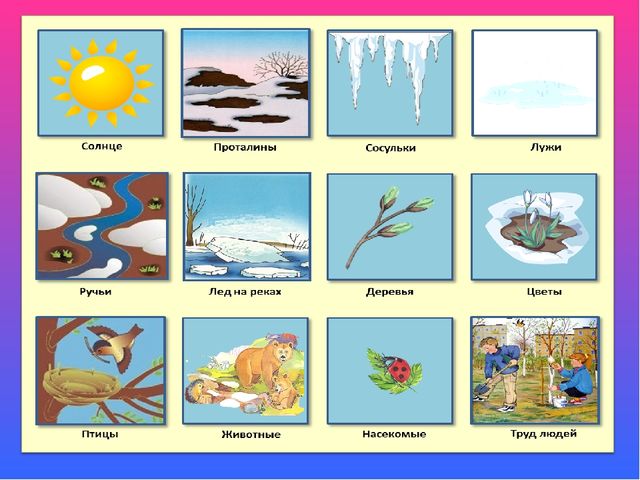 Презентация к НОД "Насекомые"