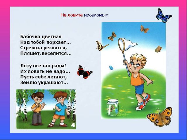 Презентация к НОД "Насекомые"