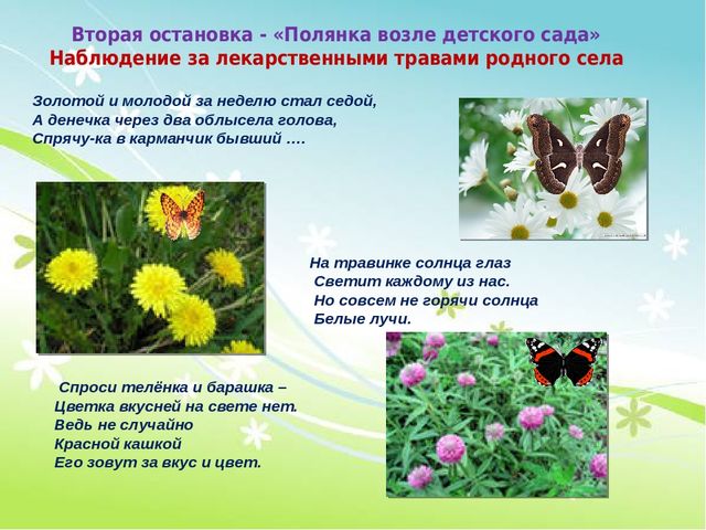Игра -путешествие "Мое село"