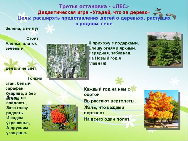 Игра -путешествие "Мое село"