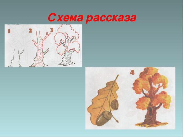 Презентация "Деревья - наши друзья"