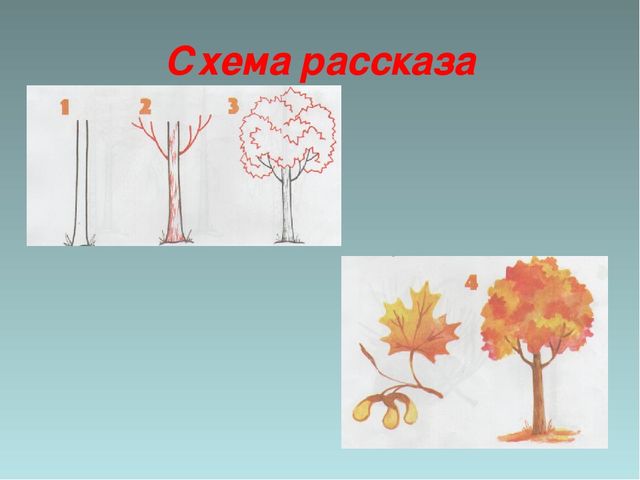 Презентация "Деревья - наши друзья"