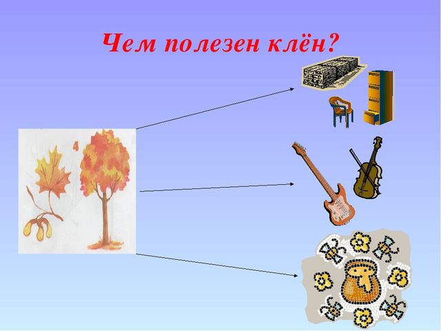Презентация "Деревья - наши друзья"