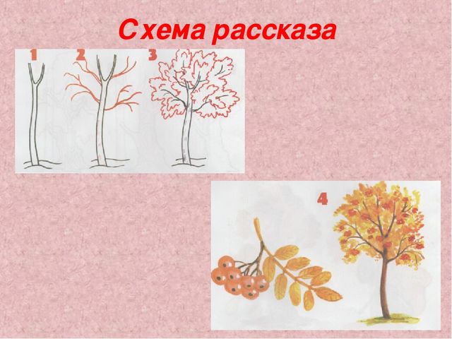 Презентация "Деревья - наши друзья"
