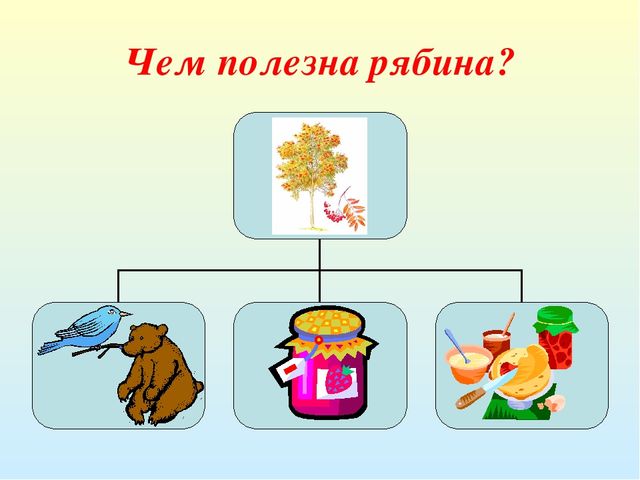 Презентация "Деревья - наши друзья"